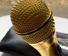 Peavey PVi 2 Gold Dynamic Vocal Microphone with Case & Clip