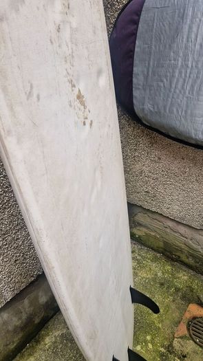Bic Mini Malibu 7'3 Surfboard