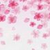 petal_pearl