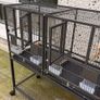 bird cage Image 2