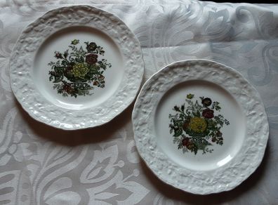 TWO mason ironstone 7inch plates