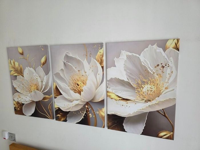 Set of 3 framed canvas