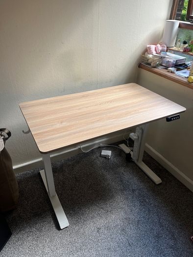 Auto Height Adjustable Electric Standing Desk