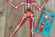 Make your own human body model Puzzle and book