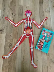 Make your own human body model Puzzle and book