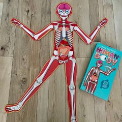 Make your own human body model Puzzle and book