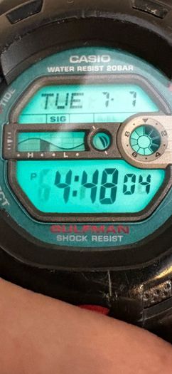 casio