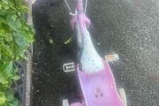 girls bike