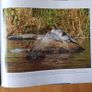Photographic Book. Manitoba Seasons  In Beauty. Signed By The Author Robert R. Taylor. By R Image 3