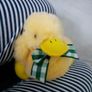 Easter soft duck Image 3
