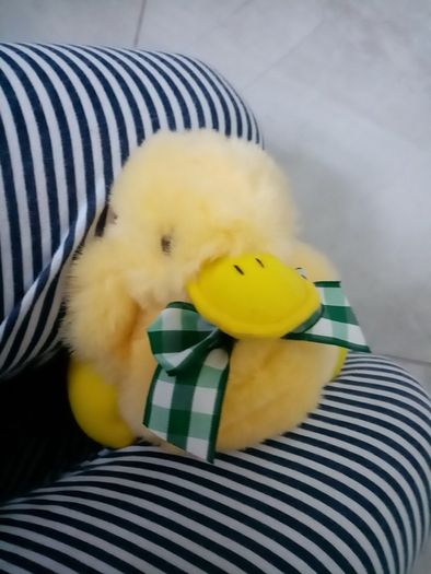 Easter soft duck