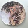 Plate Image 5