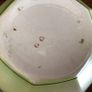 Vintage 1930s Art Deco Green floral ceramic soap dish Image 7