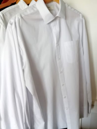 shirts 3x