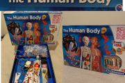 Clementoni The Human Body 3d model, jigsaw puzzle set