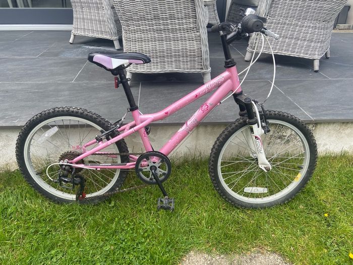 20" Mystic Childrens Bicycle
