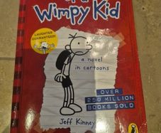 Diary of a wimpy kid books 1 through 11
