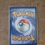 Chimchar First Partner Series 1 Image 2