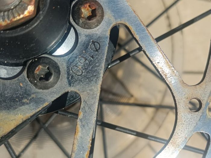 24" inch bike wheel with 7 speed cassette
