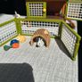 Schleich rabbit hutch Image 3