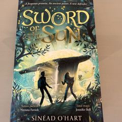 Sword of the Sun childrens book