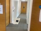 Handyman Image 5