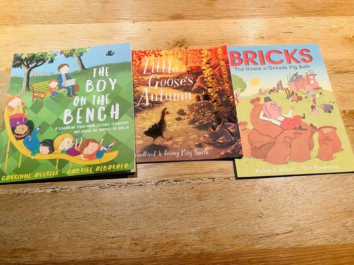 Kids Picture Story Books x3 - Bricks, Little Goose & Boy on the Bench