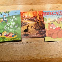 Kids Picture Story Books x3 - Bricks, Little Goose & Boy on the Bench