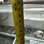 Fish tank Image 5