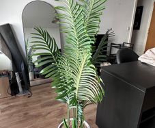 artificial plant