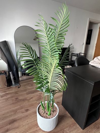 artificial plant
