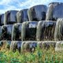 Silage Bales Image 2