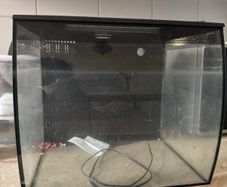 fish tank