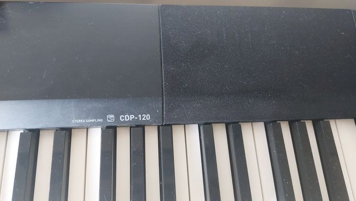 CDP-120 Casio Digital Piano