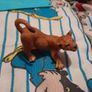 Papo lion cubs, retired, rare Image 4