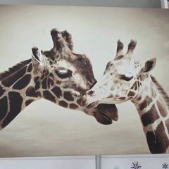 canvas
