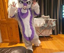 furry costume fursuit mascot suit purple husky