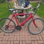 push bike Image 2