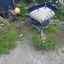 Boat Image 10