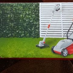 lawn mowers two mowers all at one price