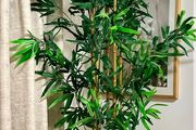 Artificial bamboo plant + vase
