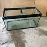 Aquarium Image 2