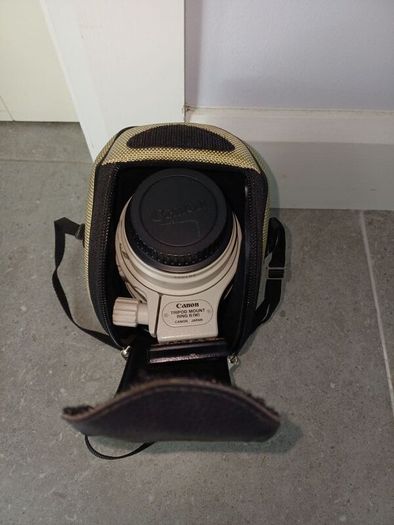 Canon EF 100-400mm L IS USM lens