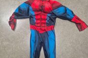 Spiderman Costume