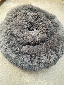 Brooklyn dog bed