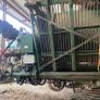 Beet harvester Image 4
