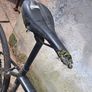 Bike Image 4