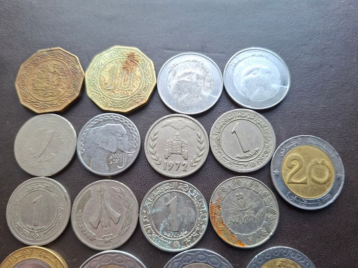 A Lot of 170 grams of coins from Algeria (1972-2017)