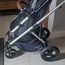 Buggy Image 3