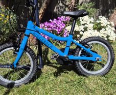 Ridgeback MX14